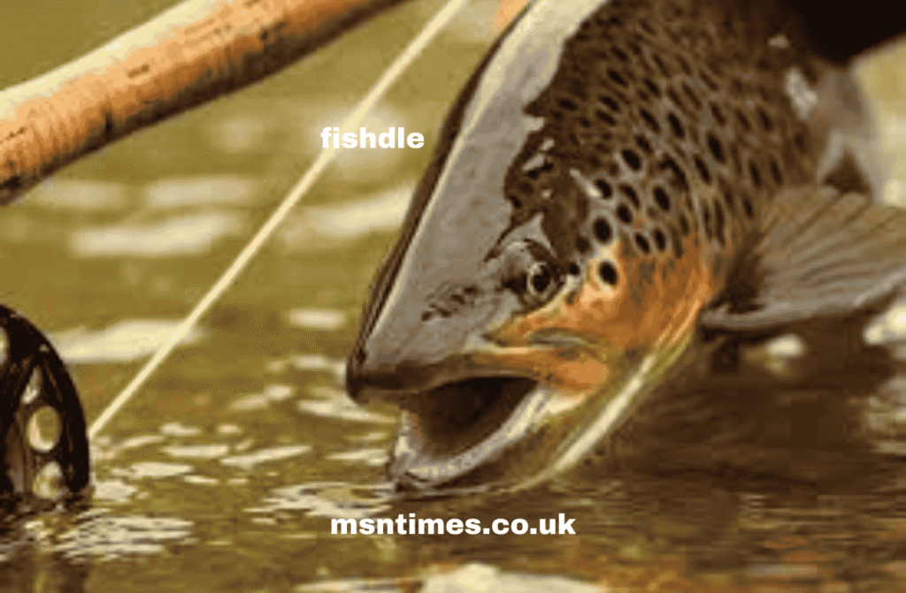 fishdle
