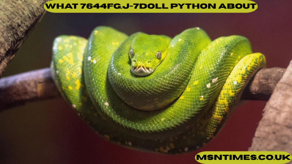 what 7644fg.j-7doll python about