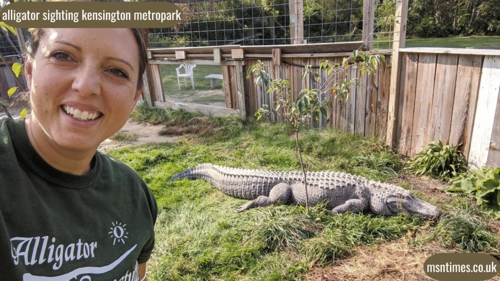 alligator sighting kensington metropark